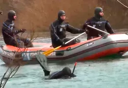 El cuerpo hallado en el Río Chubut tendría el DNI de Santiago Maldonado