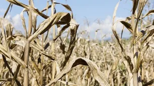 La importancia de la juventud en el sector agropecuario