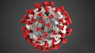 El coronavirus es 10 veces más mortal que la gripe estacional