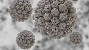 El laboratorio de Wuhan, posible cuna del Covid-19, descubrió un nuevo virus animal