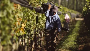Trabajadores rurales cobrarán un bono de fin de año de 10 mil pesos