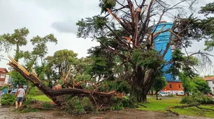 Miramar: le robaron a una de las víctimas del temporal mientras estaba inconsciente