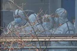 Las sospechas de la OMS: China habría ocultado el coronavirus durante un tiempo