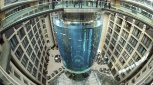 Explotó en Berlín el acuario cilíndrico más grande del mundo: hay dos heridos y miles de peces muertos
