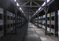 Cómo vivir después del infierno de Auschwitz
