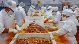 Argentina importaría 80 mil toneladas de langostinos desde Ecuador en medio de un conflicto gremial