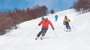 Deportistas olímpicos de invierno atestiguan desastre climático