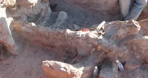 El Conicet encontró un dinosaurio extinto hace 90 millones de años en Neuquén