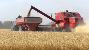 Dirigente de la Federación Agraria Argentina defendió la idea de Solá de crear una Junta de Granos