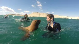 El plan de Puerto Madryn para anticipar ventas de turismo