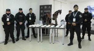 La mafia china podría estar detrás del "caballito narco" enviado desde Bélgica