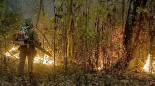 El Amazonas es de Brasil, pero la sequía es nuestra