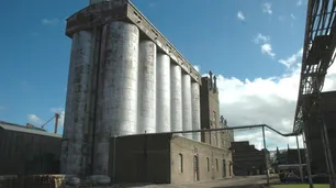 Los molinos piden subir el precio de la harina por no poder cubrir los costos de producción