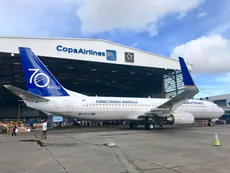 Sexo en pleno vuelo: demoraron a una pareja que estaba semidesnuda en un avión que había llegado a Rosario