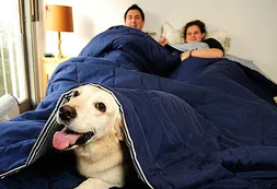 Parejas, solos o familias con hijos eligen el colecho canino