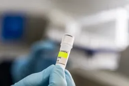 La OMS advierte por más casos de hantavirus