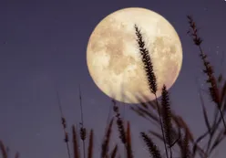 Luna llena del Cazador: a qué hora se podrá ver hoy y cómo aprovechar la superluna de octubre
