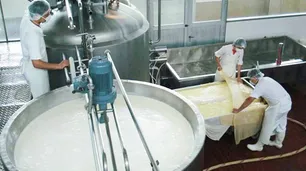 Idearon un ‘postrecito’ bajo en grasas con un suero lácteo que se descartaba