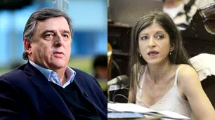 Vallejos cruzó a Negri por las vacunas de Pfizer: "Pide que un laboratorio extranjero redacte leyes"