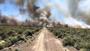 Se acerca el verano y advierten sobre posibles grandes incendios en Patagonia