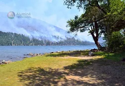 Fotos | Devastadores incendios en Neuquén