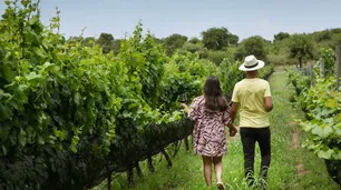 La Matilde y el arte de vivir el verano en Traslasierra