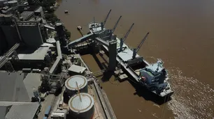 El campo aportaría US$ 35.800 millones por exportaciones en 2024