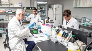 Médicos argentinos probarán un tratamiento contra el SUH
