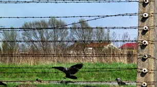 FOTOS | El Ojo de Perfil: "Sobrevivientes de la Shoah"