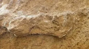 Hallaron en Sudáfrica la huella humana más antigua: tiene unos 153.000 años