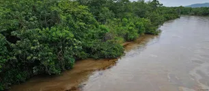 Ecuador declaró la emergencia medioambiental tras derrame de petróleo