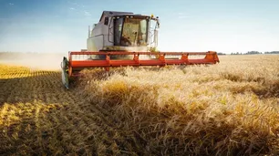 Campo: las lluvias trajeron alivio al sector y la zona núcleo sigue en campaña