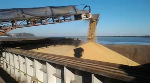 Acreedores de Vicentín piden asesoramiento a Columbus Zuma