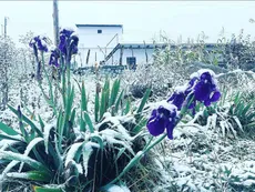 Tucumán: la primera nevada del año en Tafí del Valle