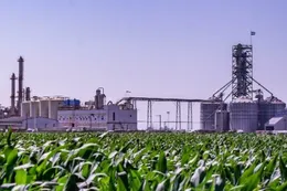 Una nueva ley de biocombustibles divide a empresas y provincias