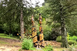 En La Cumbrecita no se hace leña del árbol caído