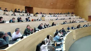 Córdoba aprobó la ley que prohíbe limpiavidrios y habilita arrestos para naranjitas ilegales