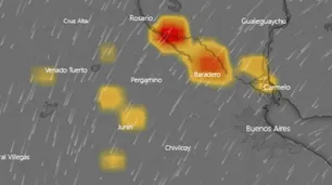 Incendios forestales acechan islas del Delta del Paraná en Santa Fe, Entre Ríos y Buenos Aires