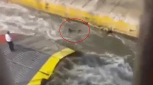 Grecia: llegó tarde a abordar un ferry, la tripulación lo arrojó al mar y murió