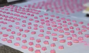 Avellaneda: cerraron un laboratorio clandestino de drogas sintéticas que producía casi 14 mil pastillas de éxtasis