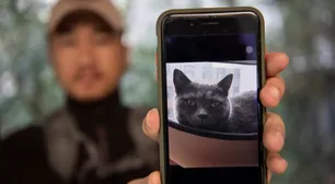 El detective privado que busca mascotas perdidas con tecnología de punta