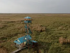 Una selva en Borneo juega un papel clave para un mundo de cero emisiones de carbono