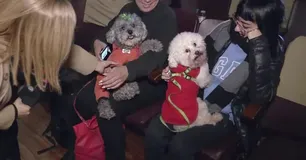 Escobar fue el escenario de la primera función de cine para perros de Sudamérica