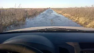 Exceso de lluvias en el agro: “Podría haber pérdidas si hay vientos fuertes y granizo”