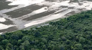 La deforestación ilegal en Chaco dejó más de 50 mil hectáreas arrasadas