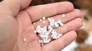 Qué es el graupel: puede caer en el AMBA y suele confundirse con nieve