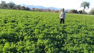 Una entidad responde al spot de famosos contra los agroquímicos con historias de vida y producción
