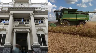 El campo y las tasas, claves para frenar el dólar en pleno pesimismo financiero