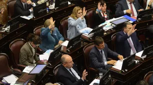 Video: El confuso incidente entre Naidenoff y una senadora antiaborto durante la sesión