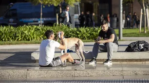 Clima en Ciudad de Buenos Aires: feriado patrio con sol, ambiente agradable y sin lluvias en el AMBA